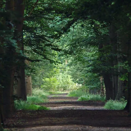 Feriehus T Kaatsheuveltje 5 *