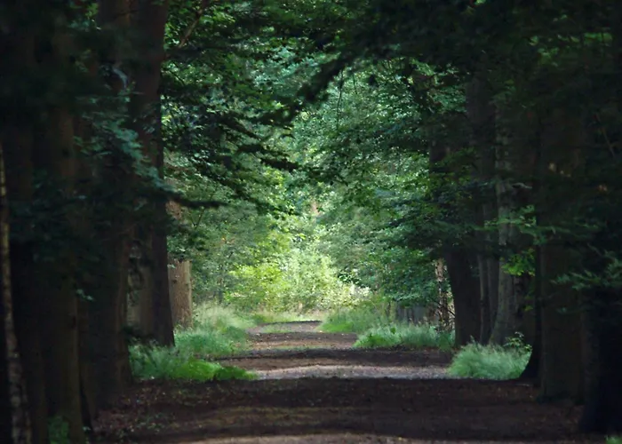 度假居 T Kaatsheuveltje 5 *