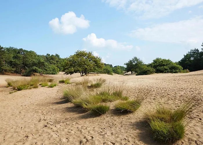 Hébergement de vacances T Kaatsheuveltje 5